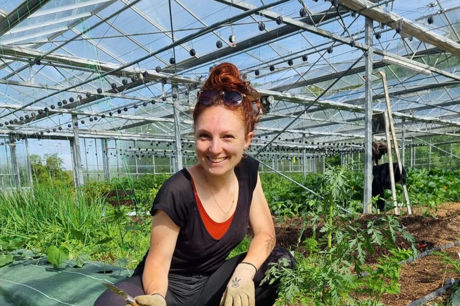 Laura Bridier chez un maraîcher, sous une serre, devant une cagette de légumes fraîchement cueillis.